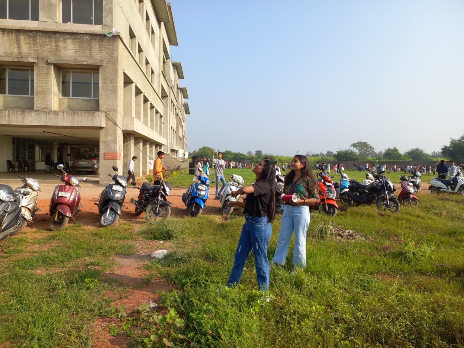 Kite Festival Celebration